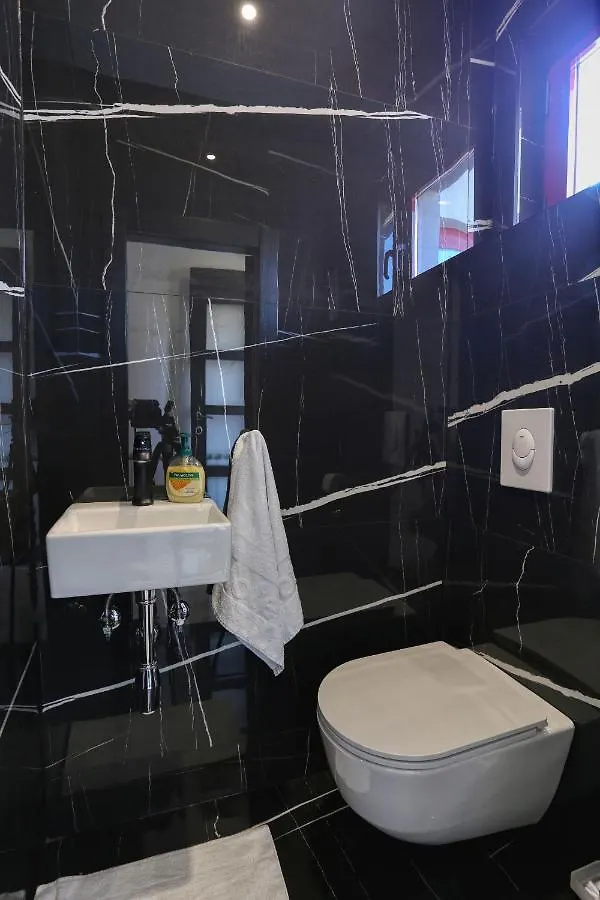 公寓 Luxury Holiday House 扎达尔